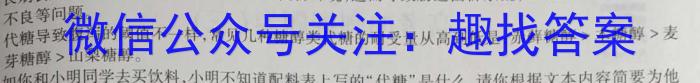 2023年高二年级九师联盟湖北省期中考试语文