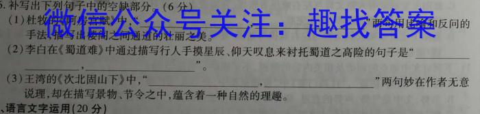 ［衡水大联考］2022-2023学年度下学期高三年级4月联考（新教材-X）语文