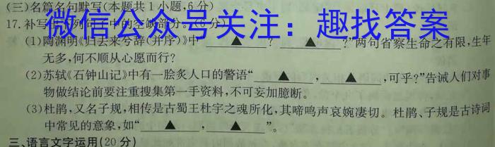 衡水金卷先享题压轴卷2023答案 新教材XA三语文