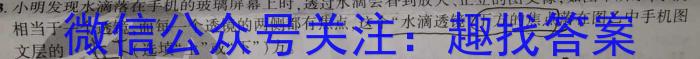 2023年九师联盟高三年级4月质量检测（X）物理`