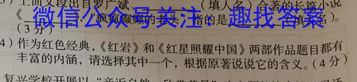 华师—附中2023年普通高等学校招生全国统一考试名校联盟·压轴卷(二)语文