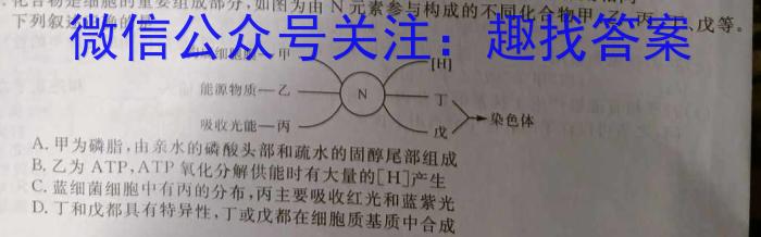 河北省2022-2023衡水中学下学期高三年级三调考试生物试卷答案