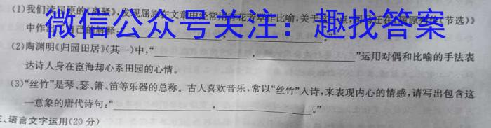 安徽省C20教育联盟2023年九年级第二次学业水平检测语文