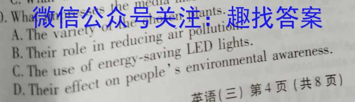 安徽省2023年下学期九年级学业水平测试模拟卷（三）英语