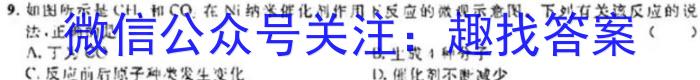 2023年河北省初中毕业生升学文化课摸底考试化学