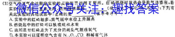 2023年安徽省初中毕业学业考试模拟仿真试卷（六）化学