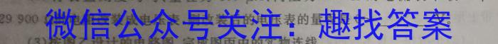 2023年陕西省初中学业水平考试全真模拟(五)物理`