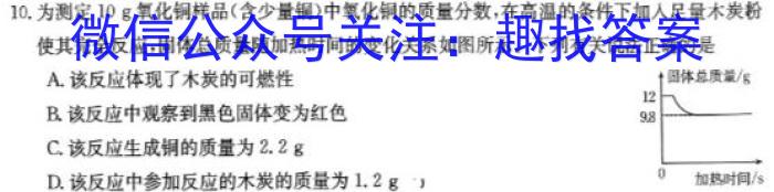 安徽省2024届八年级下学期教学质量检测（六）化学