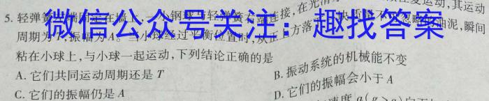 师大名师金卷2023年陕西省初中学业水平考试（五）l物理