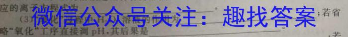 安徽省2023年无为市九年级中考模拟检测（二）化学