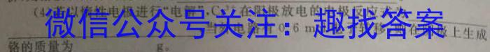 2022-2023学年中原名校中考联盟测评(二)化学