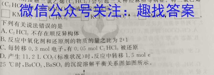 2024-2023学年安徽省九年级下学期阶段性质量检测（七）化学