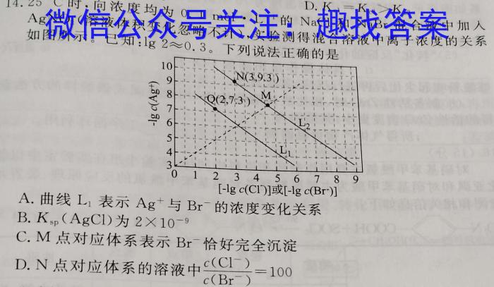 2023年普通高等学校招生统一考试 新S3·临门押题卷(一)化学