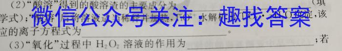 江西省九江市2023年初中学业水平考试复*试卷（一）化学