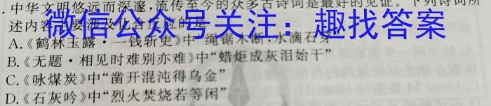 江西省九江市2023年初中学业水平考试复习试卷（三）化学