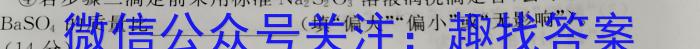 2023届中考导航总复习·模拟·冲刺卷(二)2化学