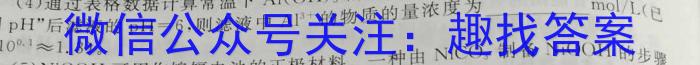 2024届山西思而行高二年级4月期中考试化学