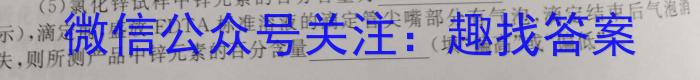 山西省2023届九年级阶段评估【R-PGZX F SHX（六）】化学