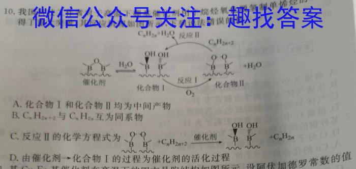 学科网2023届高三4月大联考（新教材）化学