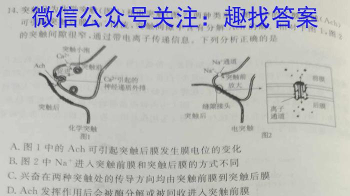 2023年湖北云学新高考联盟学校高二年级4月期中联考生物