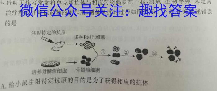 2024-2023学年安徽省九年级下学期阶段性质量检测（七）生物