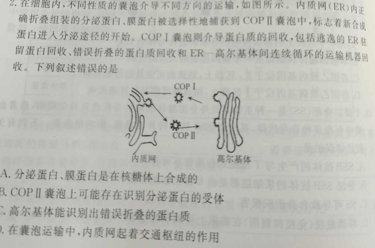 2023年四川大联考高三年级4月联考（478C·B）生物
