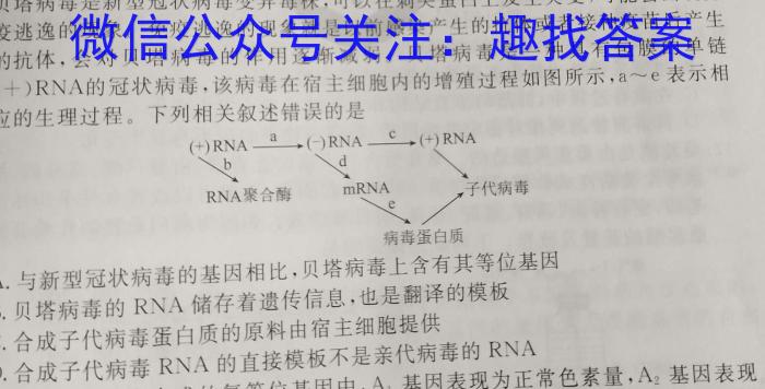 2023届四川大联考高三4月联考生物