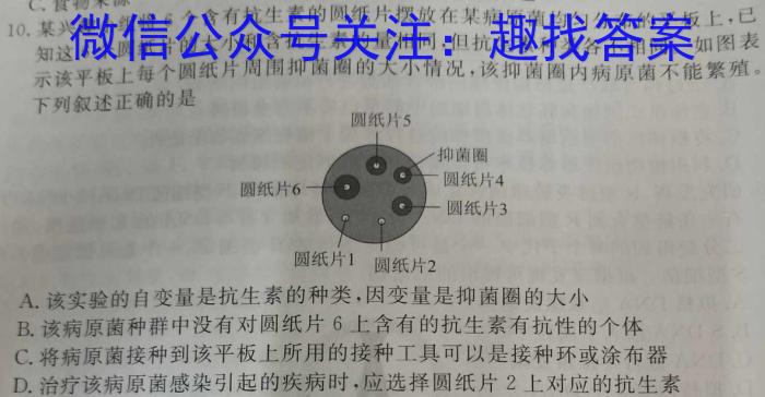 2023届柳州高中/南宁三中高三(4月)联考生物