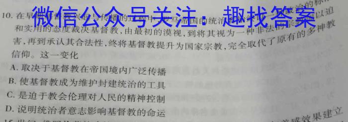 2022-2023学年陕西省八年级期中教学质量检测(23-CZ162b)历史
