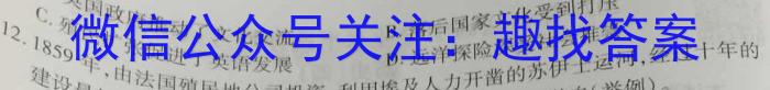 安徽省2025届七年级下学期教学评价二（期中）政治s