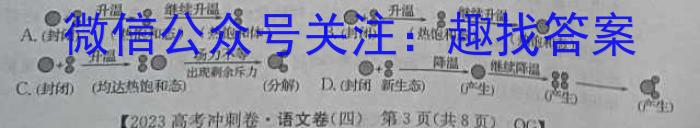 2022-23年度信息压轴卷(新)(四)语文