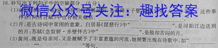 安徽省2023年九年级阶段调研（5月）语文