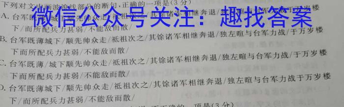 安徽省2023年九年级检测二语文