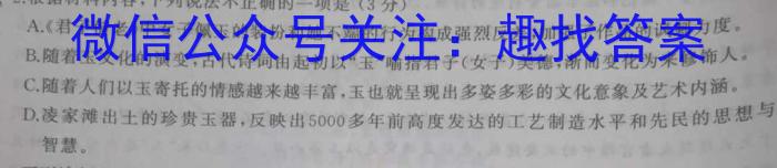 2023届柳州高中/南宁三中高三(4月)联考语文