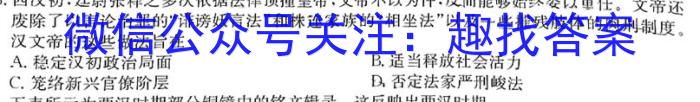 2022-2023学年陕西省八年级期中教学质量检测(23-CZ162b)历史