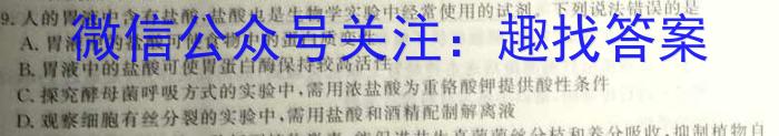 2023年广东大联考高三年级4月联考（478C·G DONG）生物