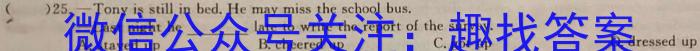 2024-2023学年陕西省七年级期中教学质量检测(23-CZ162a)英语