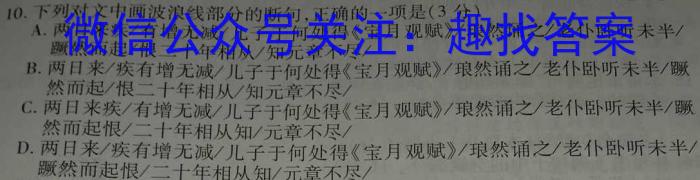 2023届全国普通高等学校招生统一考试JY高三终极一考卷(二)语文