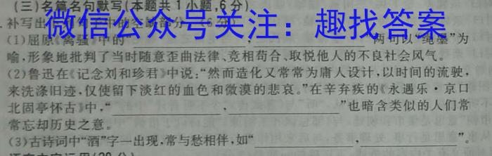2023届芜湖市初中毕业班教学质量统测（5月）语文