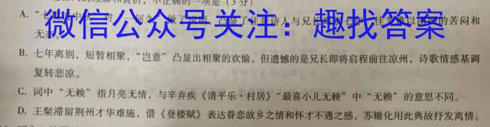 2023届智慧上进·名校学术联盟·考前冲刺·精品预测卷(四)语文