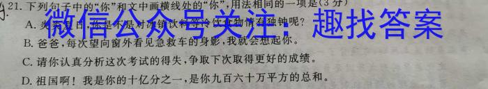 安师联盟2023年中考质量检测试卷语文