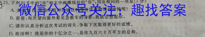 天一大联考 2023年普通高等学校招生全国统一考试诊断卷(A卷)语文