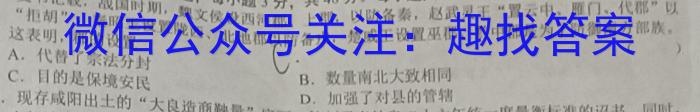 安徽省芜湖市无为市2024-2023学年九年级中考模拟检测（一）&政治