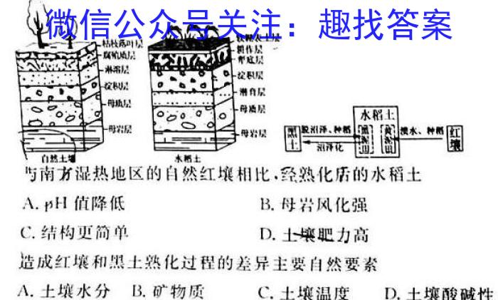 2023年云南大联考4月高二期中考试（23-412B）地.理