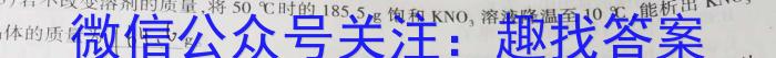 2023届名校之约·中考导向总复*模拟样卷 二轮(六)化学