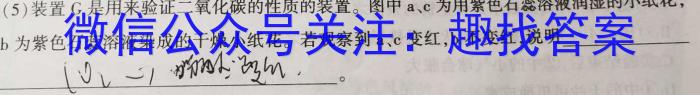 2023衡水金卷先享题压轴卷 新教材A(一)化学