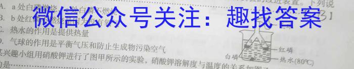 2023年安徽省初中毕业学业考试模拟仿真试卷（五）化学