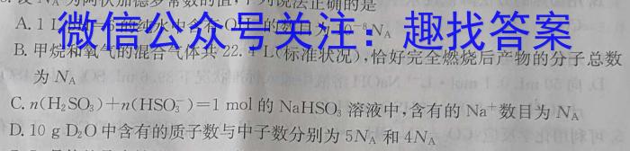 2023届全国普通高等学校招生统一考试(新高考) JY高三终极一考卷(一)化学