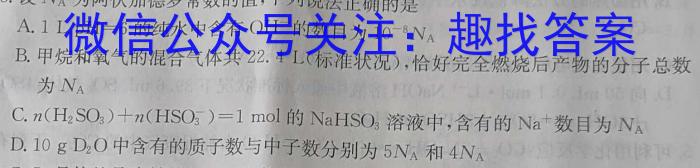 2023年西南名校联盟模拟卷 押题卷(一)化学