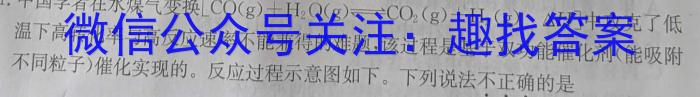 江西省2023年初中学业水平考试适应性试卷（二）化学